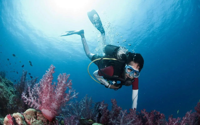Tilar Siro Andamans - CGH Earth