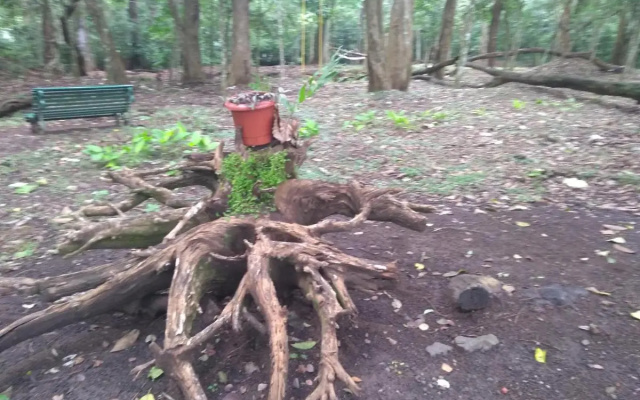 KTDC Periyar House Thekkady