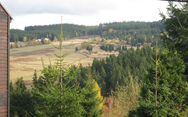 Lavish Holiday Home in Abertamy near Ski Area