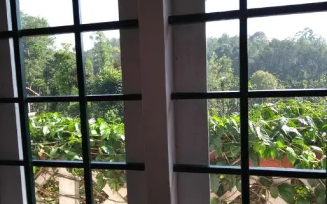 Coorg 4 C's Little Paradise
