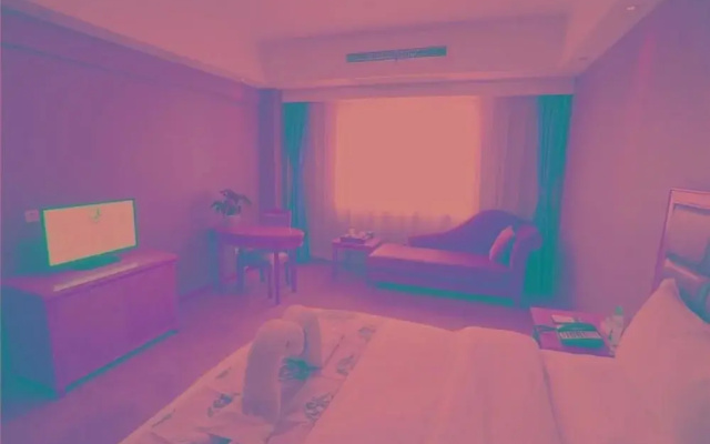 Xinglu  Hotel
