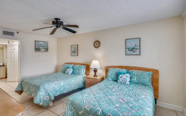 Sand Dollar 107
