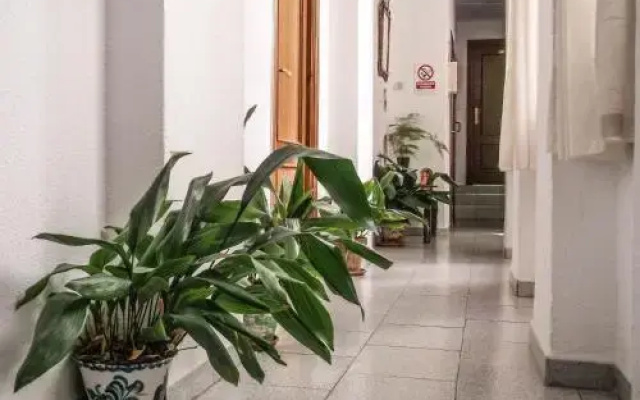 Pensión Ciudad Navarro Ramos