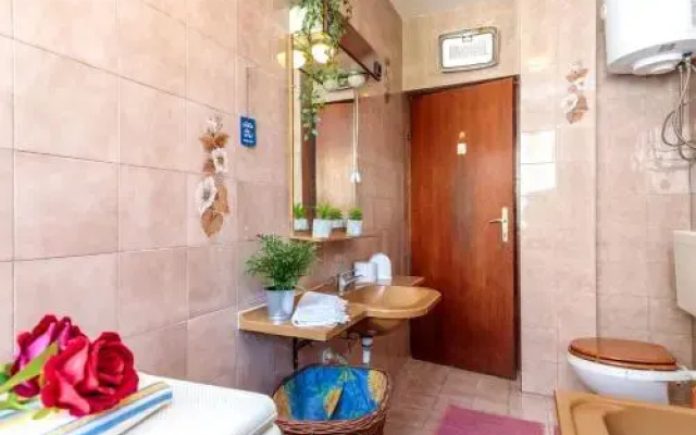 Apartments Volte 297