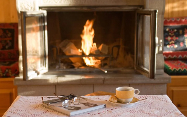 Asteri Metsovo