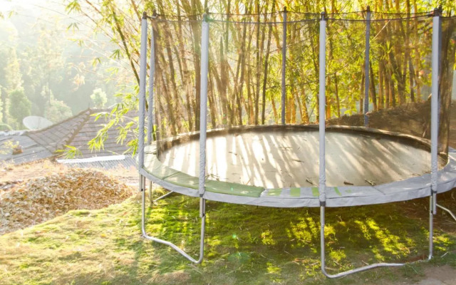 Misty Woods Resort