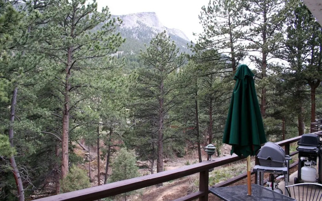 Fawn Valley Inn: 101 Condo