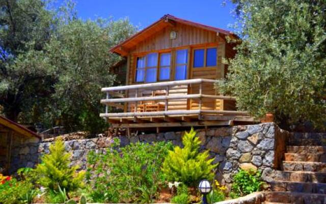 Отель Olive Garden Kabak Патара вид на фасад
