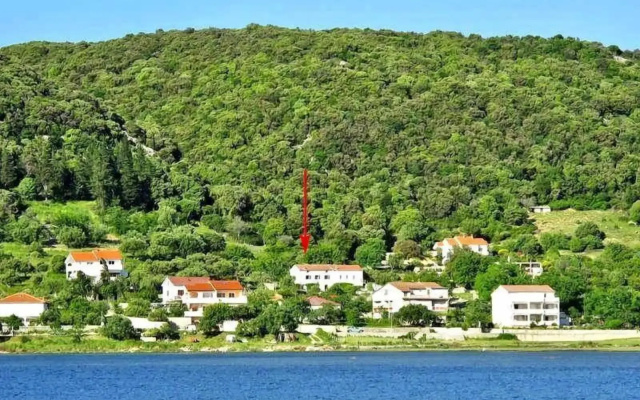 House Viskic