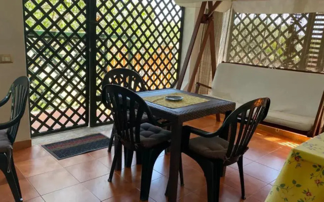 B&B Araxi