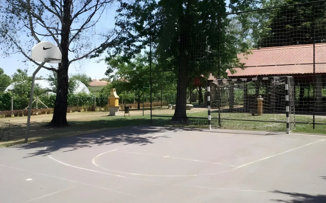 Vadgesztenye Youth Hostel