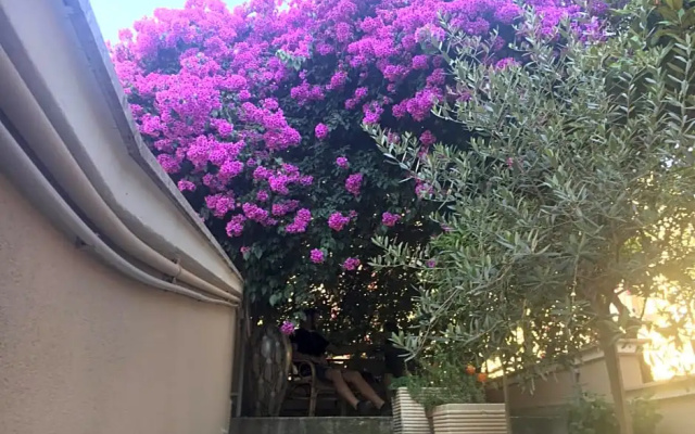 BB La Bougainvillea