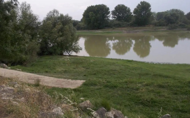 La Palmera de la Insula