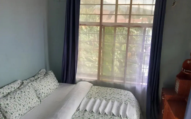 Highland Breeze Avacado Hotel