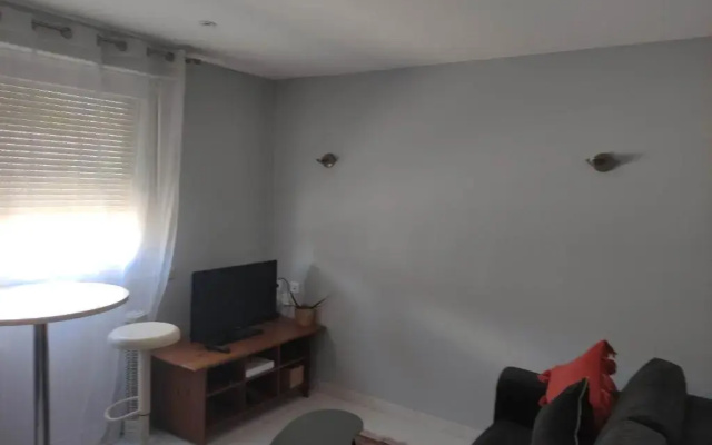 APPARTEMENT NANCY THERMAL/ARTEM/PARC STE MARIE Le 61 LES THERMES