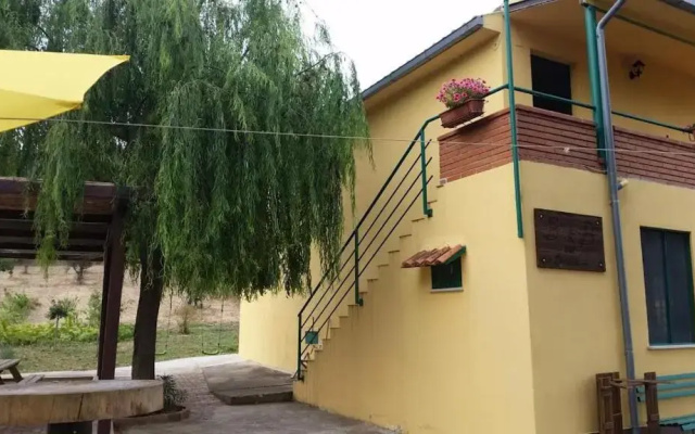 Dal Biondo