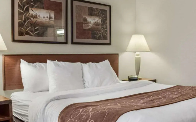 Comfort Suites