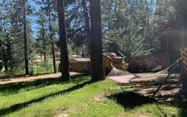 Little Big Pine