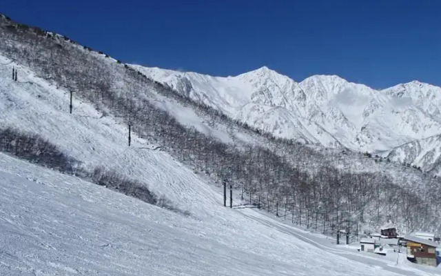 Hutte Kamoshika
