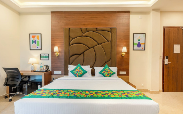 Treebo Premium Pine Tree Courtyard