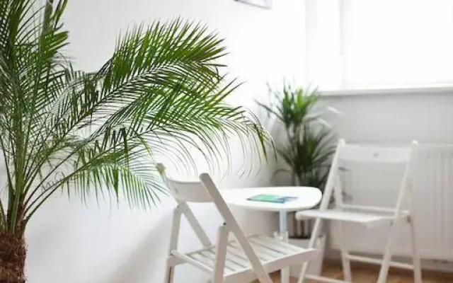 Helles & Freundliches City-Apartment