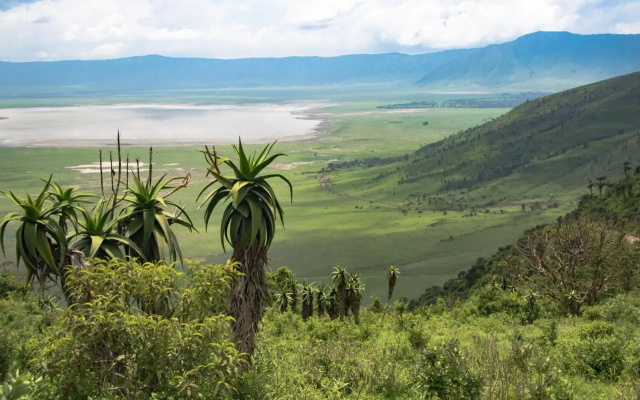 Africa Safari Ngorongoro Ndutu