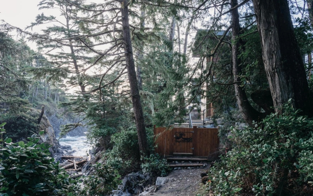 Storm Cove Suites