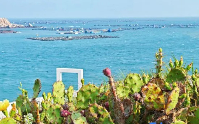 Pingtan Mo Cliff Seaview Homestay