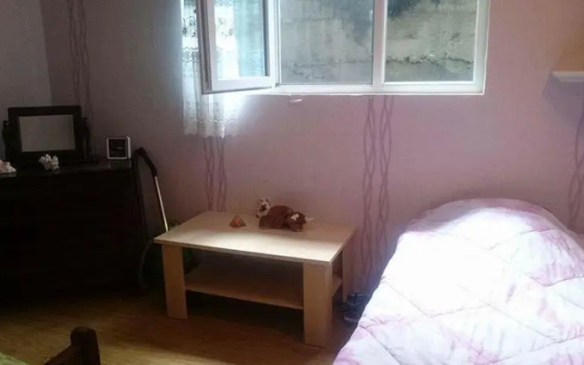 Guest House Tamuna Borjomi