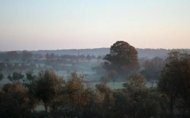 Quinta Serra De Sao Mamede