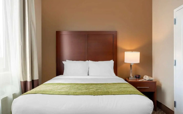 Comfort Inn & Suites near JFK Air Train