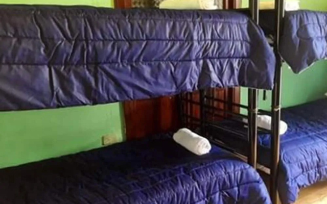 Friendly House  Hostel