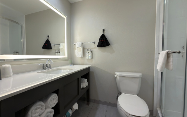 Holiday Inn Midland by IHG