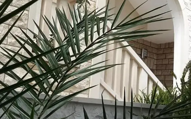 Apartments Ella