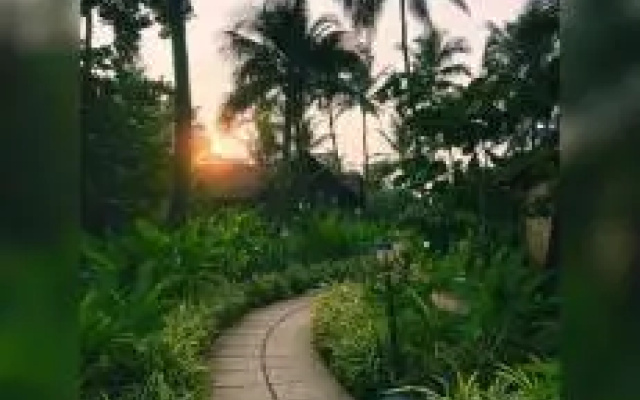 The Village