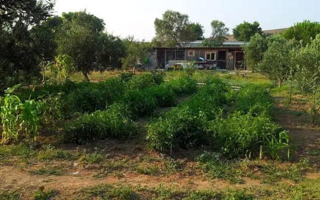 Bozcaada Pension Bag Evi