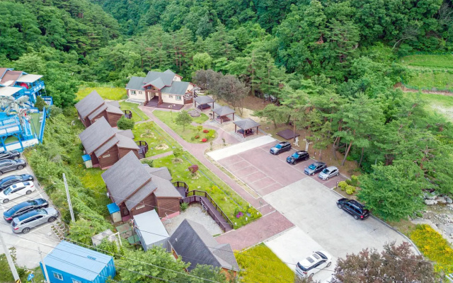 Gangneung Yasaenghwa Maeul