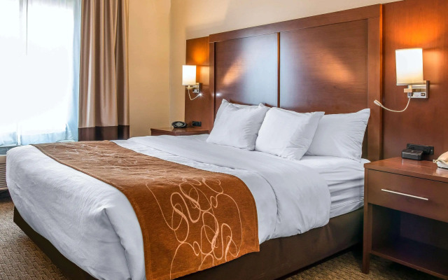 Comfort Suites Wixom - Novi