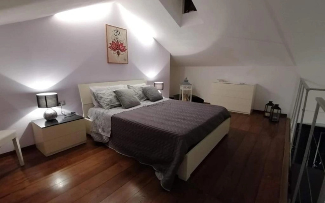 Home Holiday 304