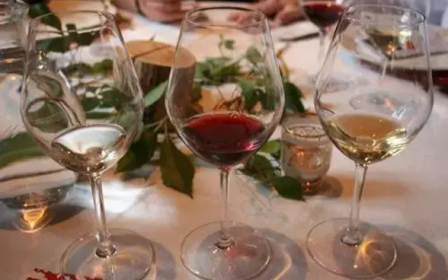 Eco-Logis du Vignoble