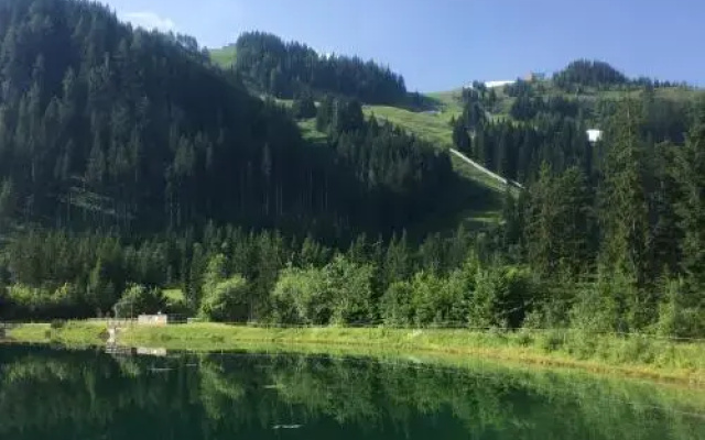 Pensiom Alpenblick