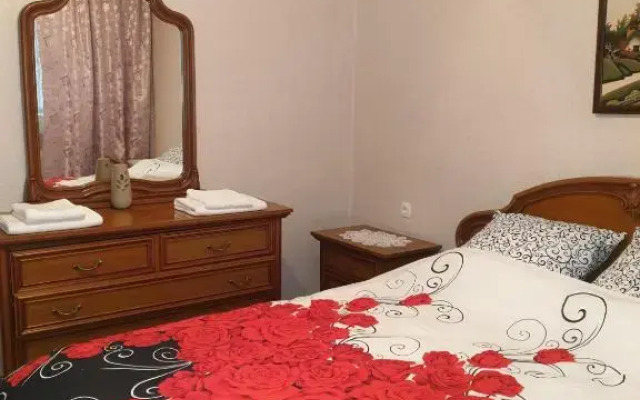 Alin Apartament