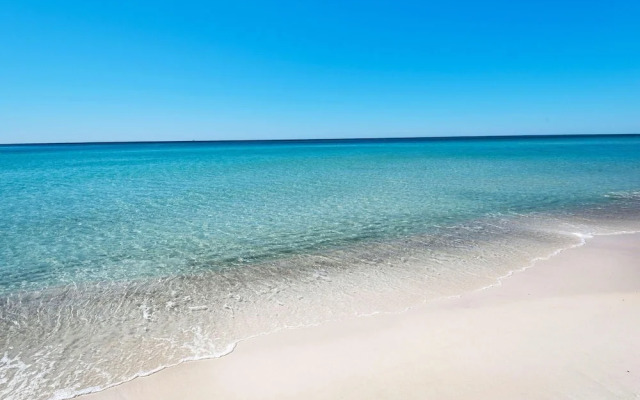 The Sand Dollar A
