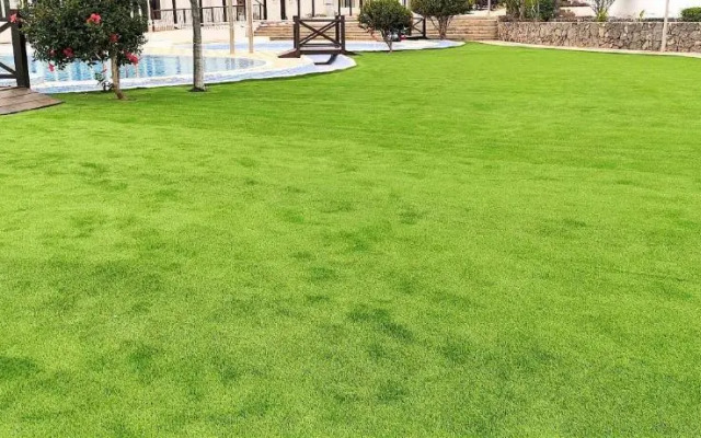 Ocean Sun y Golf I