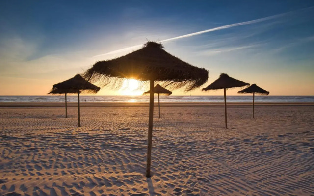 Huis Zeeduin Amsterdam Beach