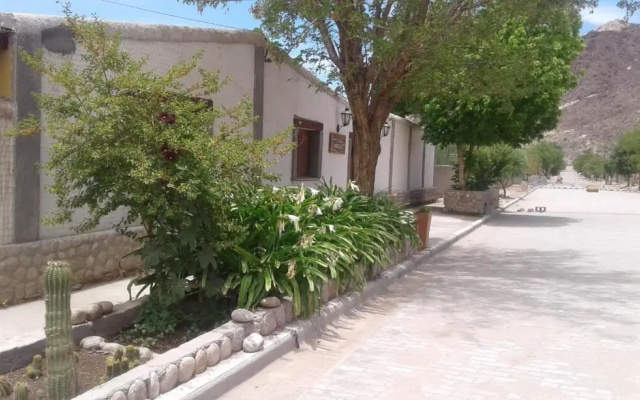 Cardones de Molinos