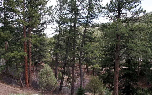 Fawn Valley Inn: 106