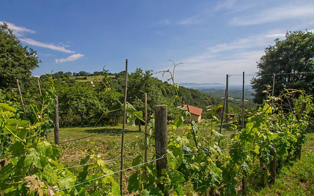 Locazione Turistica Grilli