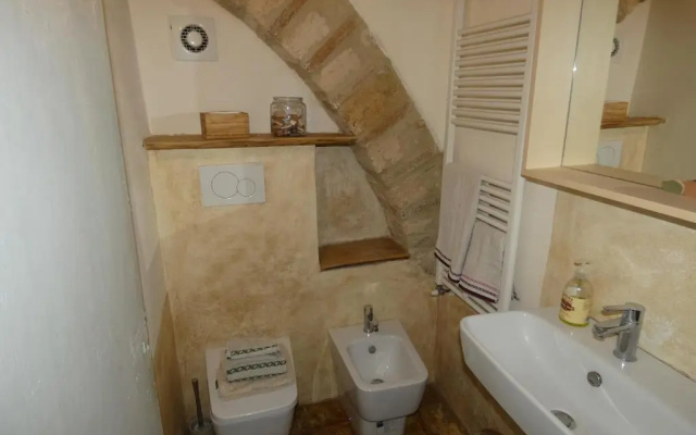 SCAPPO IN UMBRIA, nido cruxburgi