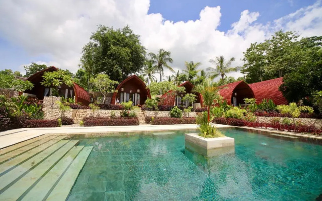 Jungle Paradise
